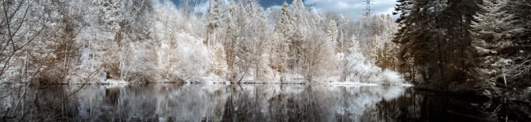 IR Panorama