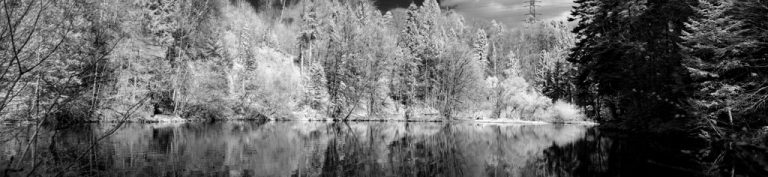 IR Panorama S/W