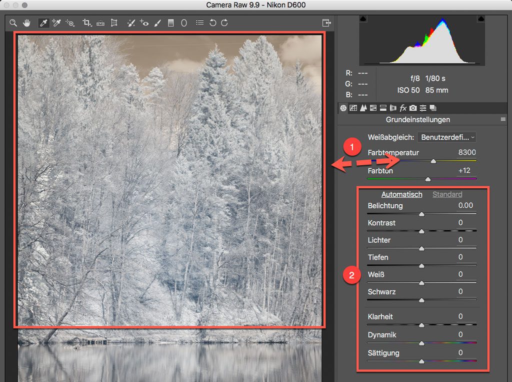 Photoshop RAW Converter - DNG Profil Feinabstimmungen