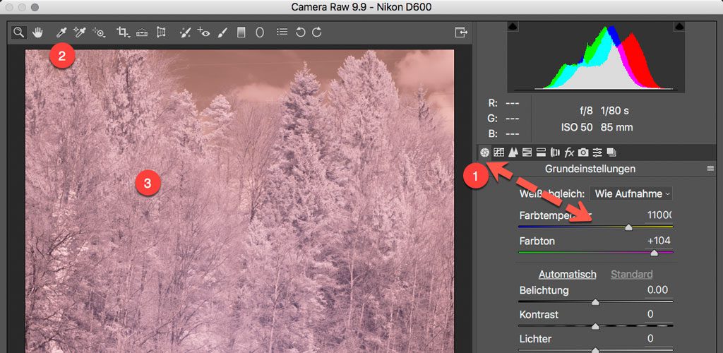 Photoshop RAW Converter - DNG Profil Weissabgleich