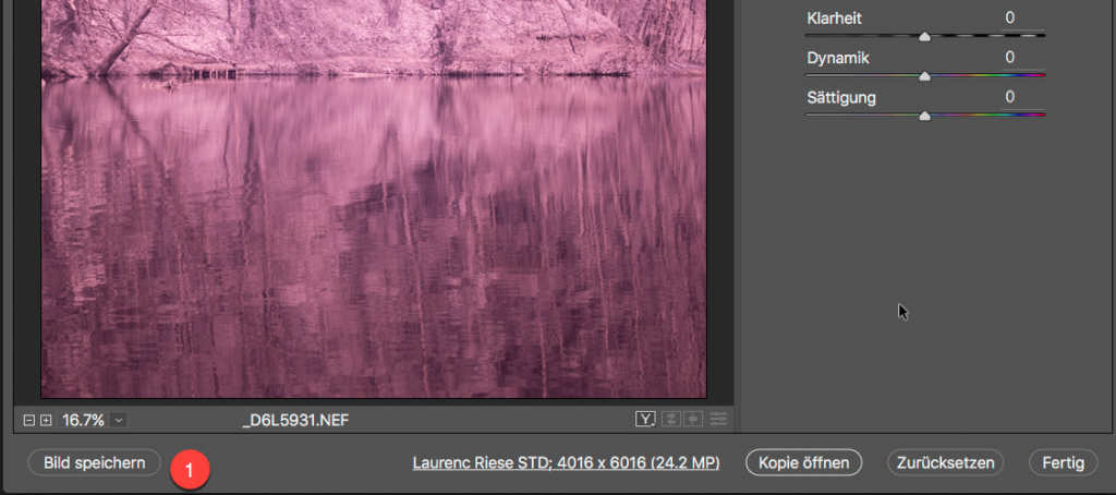 Photoshop RAW Converter IR Bild als DNG speichern