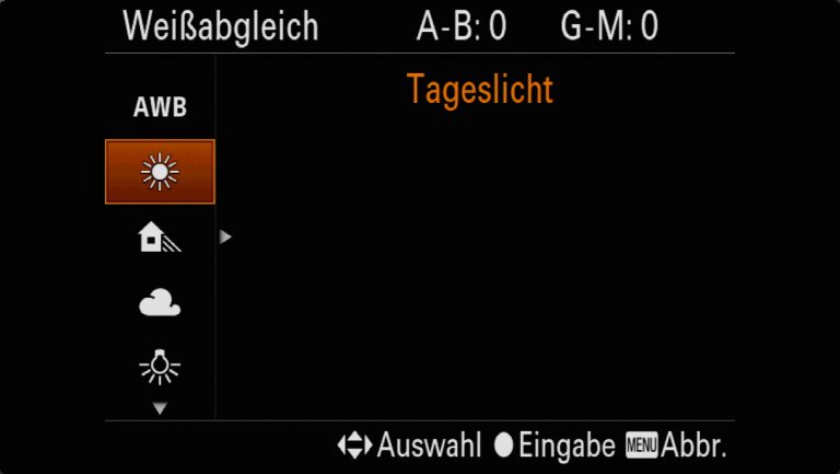 Sony A7RMII Voreinstellungen – Grrundeinstellungen