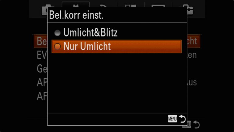 Sony A7RMII Voreinstellungen – Grrundeinstellungen