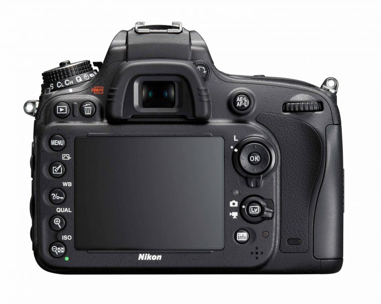 Nikon-D600 Back View