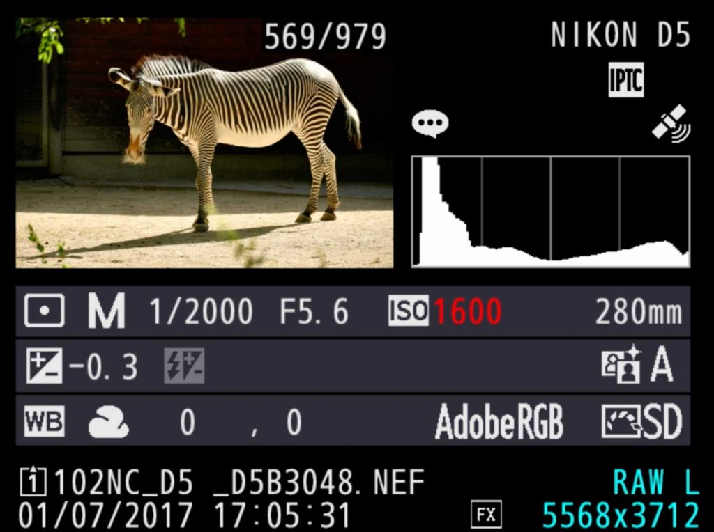 Zebra-Kamera Einstellungen