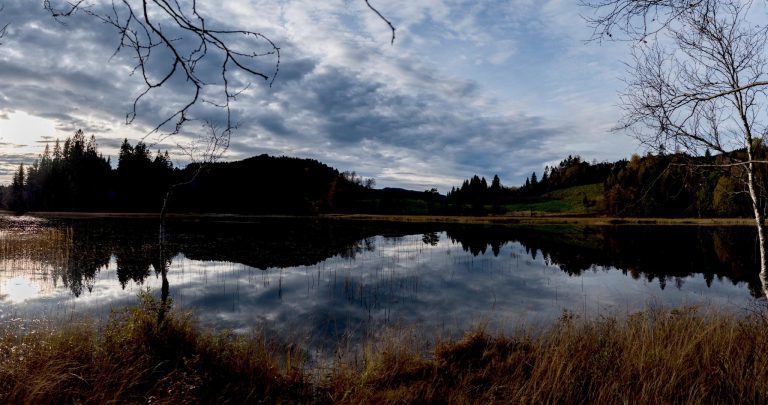 Kamera: NIKON D850 |  | Brennweite: 25mm | Verschlusszeit: 1/500 | Blende: f/8.0 | ISO: 64