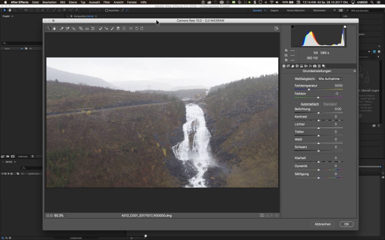 Adobe After Effects – Oberfläche – RAW Konverter