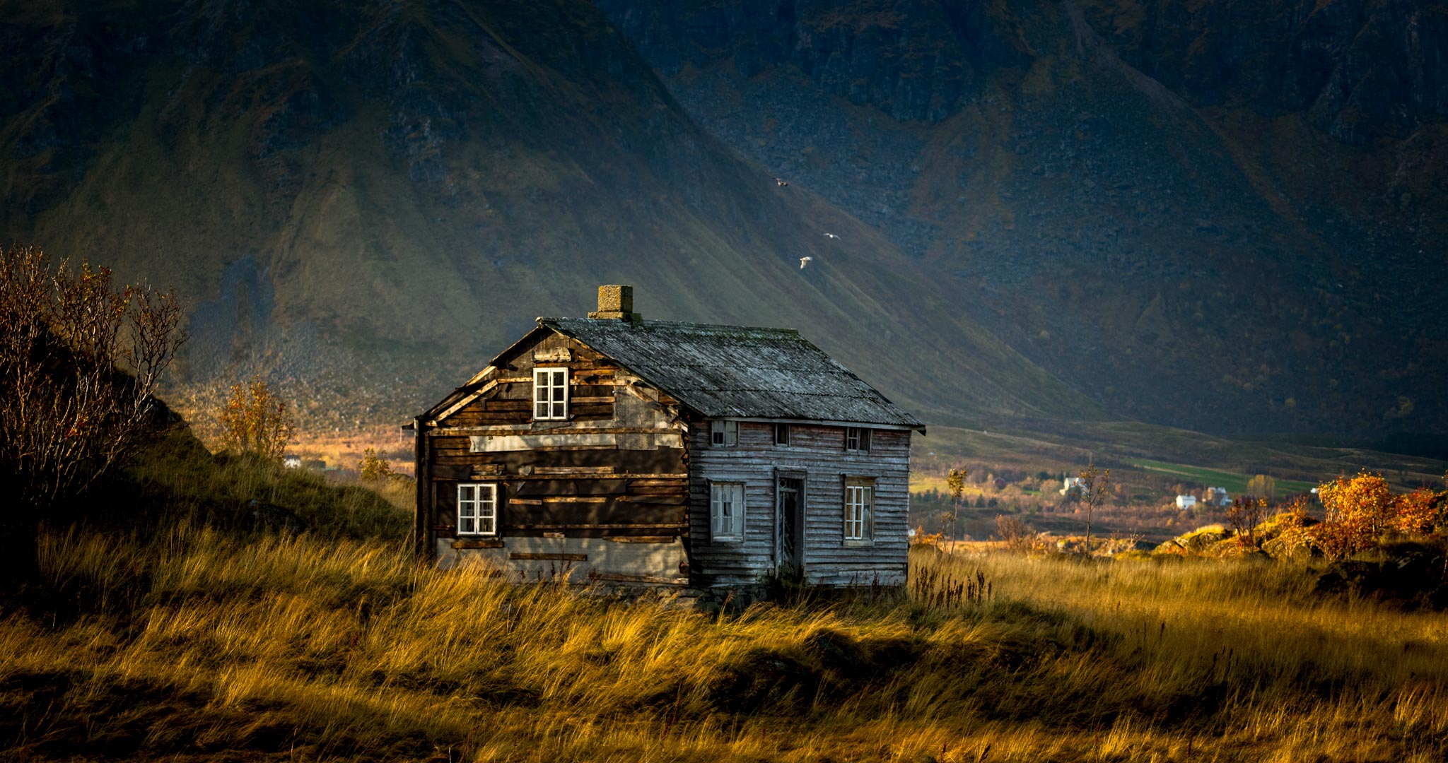 Kamera: NIKON D5 | | Brennweite: 150mm | Verschlusszeit: 1/1000 | Blende: f/5.6 | ISO: 640