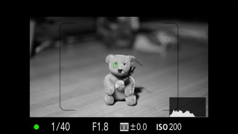 Das kleine Foto 1×1 – Sony A7 – Autofokus verwenden mit dem FE 55mm f/1.8 ZA Zeiss Sonnar