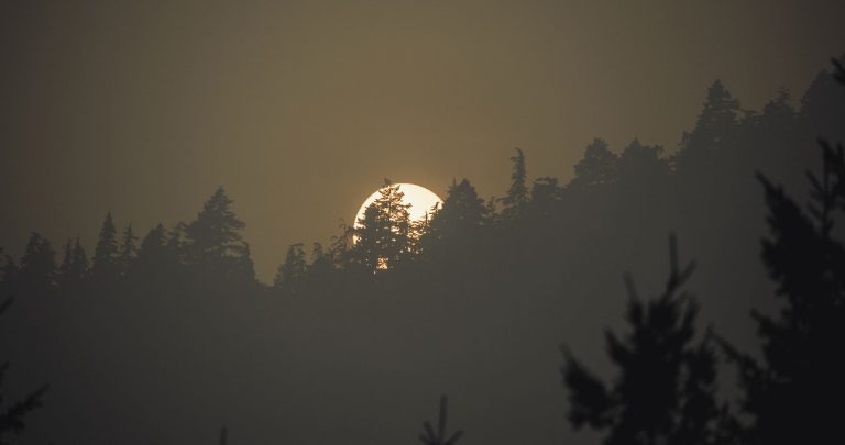 Reisebericht: USA & Canada von Seattle bis Bella Colla – British Columbia im griff der Waldbrände
