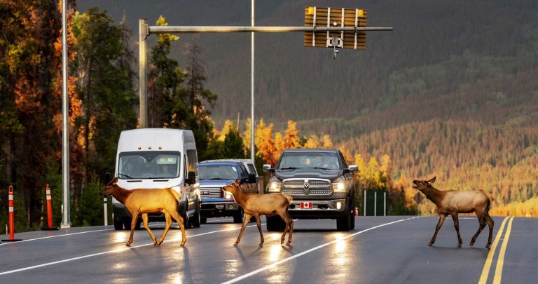 Reisebericht: USA & Canada von Seattle bis Bella Colla – British Columbia im griff der Waldbrände