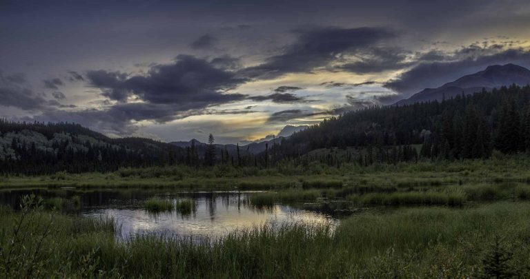 Reisebericht: USA & Canada von Seattle bis Bella Colla – British