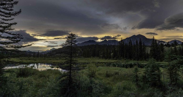 Reisebericht: USA & Canada von Seattle bis Bella Colla – British