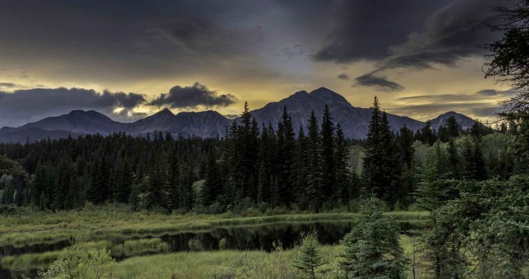 Reisebericht: USA & Canada von Seattle bis Bella Colla – British