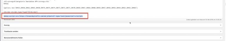 WordPress-Hack-Script. nur in Text Ansicht sichtbar im Editor